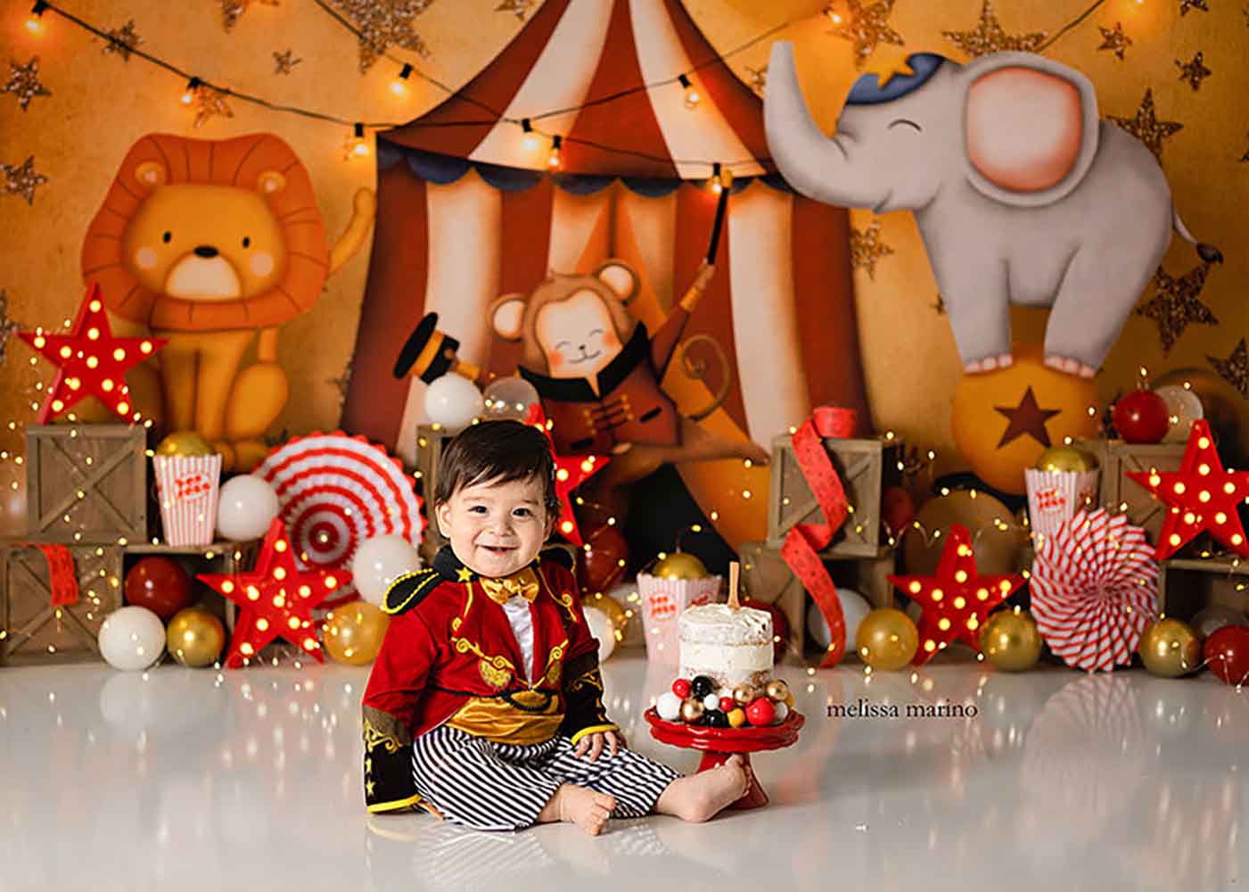 Balloons Circus Beach Backdrop - огляд і ціна Photography Sport
