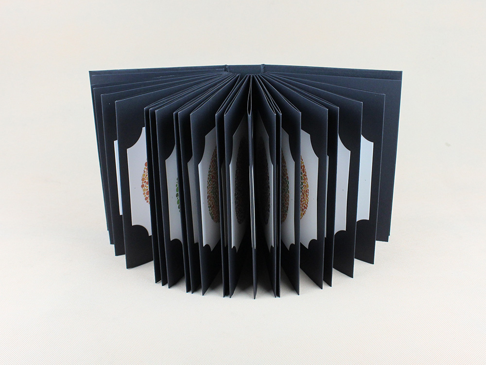 Ishihara Book 38 Plates Optome - огляд і ціна Color Checker Card
